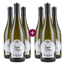3+3 Borgolago Garda Bianco 2025 | KI-generiert