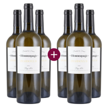 3+3 Monocepage Chardonnay 2024