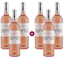 3+3 Château de Beauregard-Ducourt Bordeaux Rosé 2024