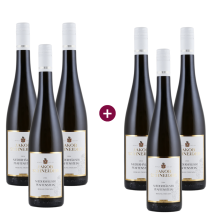 3+3 Jakob Schneider Niederhäuser Pfaffenstein Riesling trocken 2024