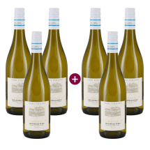3+3 Terre Italiane Verdicchio dei Castelli di Jesi Classico 2024