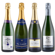 4er-Champagner-Paket + versandkostenfrei (D) | KI-generiert