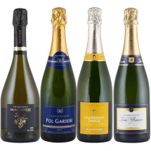 4er-Champagner-Paket + versandkostenfrei (D)