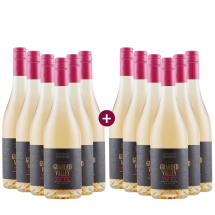 6+6 Stettyn Guarded Valley Chardonnay & Pinot Noir Rosé 2024 + versandkostenfrei (D) | KI-generiert