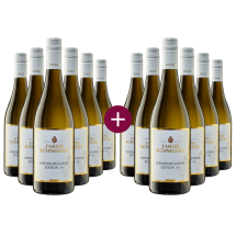 6+6 Jakob Schneider Weissburgunder Edition S 2024