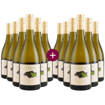 6+6 Paket Ocarito Sauvignon Blanc 2022 + versandkostenfrei (D)
