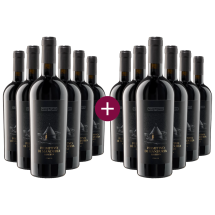 6+6 Pendio Antico Primitivo di Manduria Riserva 2018