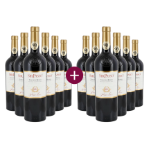 6+6 Poggio Lauro Sir Passo Toscana Rosso 2023 | KI-generiert