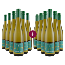 6+6 Paket Ruppertsberger Sauvignon Blanc 2022