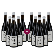 6+6 Clos L'Asentiu Tina 41 (T41) Col-lecció Velles Vinyes 2023