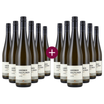 6+6 Winzer Krems Grüner Veltliner Von den Terrassen 2024