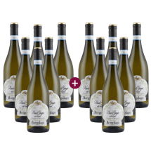 6+6 Borgolago Pinot Grigio 2025 + versandkostenfrei (D) | KI-generiert