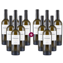 6+6 Pakete Monocepage Cabernet Sauvignon 2021