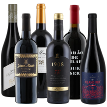 Berliner Weintrophy Favoriten