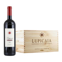 6 Fl. Castello del Terriccio Lupicaia 2019 + original Holzkiste | KI-generiert