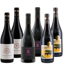 Côtes-du-Rhône-Favoriten | KI-generiert