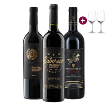 Genießer-Paket "Edicion Negra" + versandkostenfrei (D)