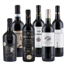 Gold-Gewinner-Premium-Rotweine | KI-generiert