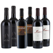 Negroamaro Favoriten