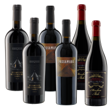 Negroamaro Favoriten