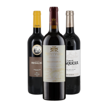 Ribera del Duero-Weinpaket + versandkostenfrei (D)