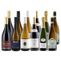 Pilze, Pasta & Pinot: Herbstküche XL | KI-generiert