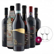 Primitivo-Favoriten