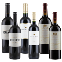 Ribera del Duero Favoriten