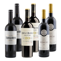 Ribera del Duero Favoriten | KI-generiert