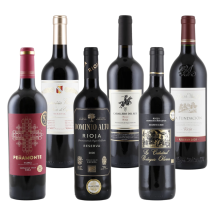 Rioja Favoriten | KI-generiert