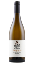 6 Fl. Vignobles Les Arbillons Bourgogne Chardonnay 2025 | KI-generiert