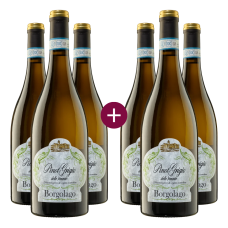 3+3 Borgolago Pinot Grigio 2025