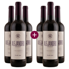 3+3 El Gourmet Alejandro 2022