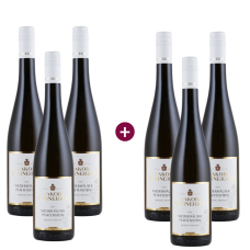 3+3 Jakob Schneider Niederhäuser Pfaffenstein Riesling trocken 2024