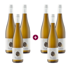 3+3 Klein Sauvignon Blanc Roter Sandstein trocken 2024