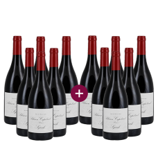 6+6 Blason Capelviel Syrah Réserve 2024