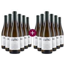 6+6 Familia Navascués Cutio Macabeo 2024