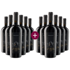 6+6 Pendio Antico Primitivo di Manduria Riserva 2018