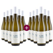 6+6 RAW GEM Riesling 2025 + versandkostenfrei (D)