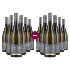 6+6 Spohr Weisser Burgunder Handwerk trocken 2025 | KI-generiert
