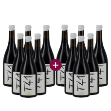 6+6 Clos L'Asentiu Tina 41 (T41) Col-lecció Velles Vinyes 2023