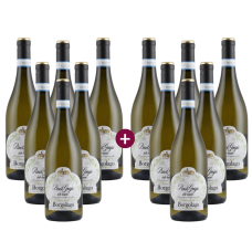 6+6 Borgolago Pinot Grigio 2025 + versandkostenfrei (D) | KI-generiert