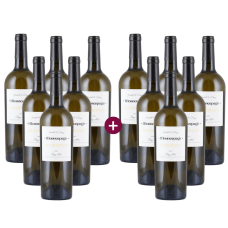 3+3 Monocepage Cabernet Sauvignon 2021