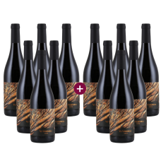 6+6 Pakete Vi Vermell 2024