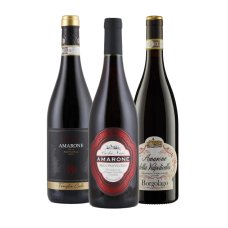 Amarone Favoriten