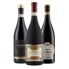 Amarone Favoriten
