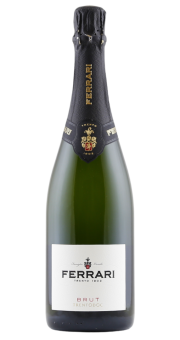 Trentino | Ferrari Spumante Brut | Detailansicht Flasche | online kaufen | KI-generiert