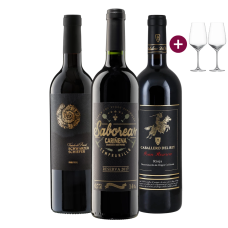 Genießer-Paket "Edicion Negra" + versandkostenfrei (D)