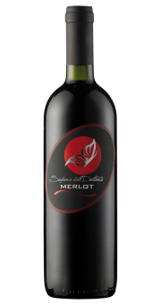 Gino Brisotto Merlot delle Venezie IGT 2024