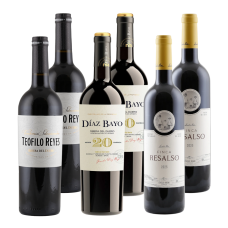 Ribera del Duero Favoriten | KI-generiert